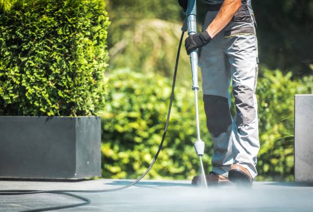 Best Solar Panel Cleaning  in Buffalo, MN