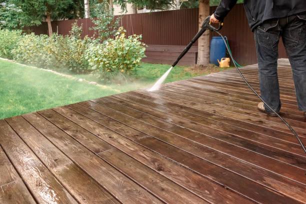 Best Gutter Cleaning  in Buffalo, MN