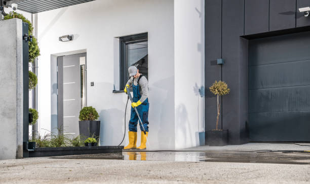 Best Spring Cleaning  in Buffalo, MN